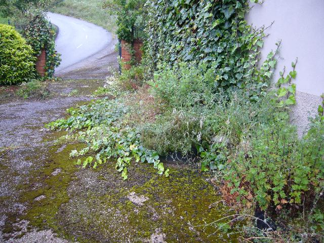 ANTES